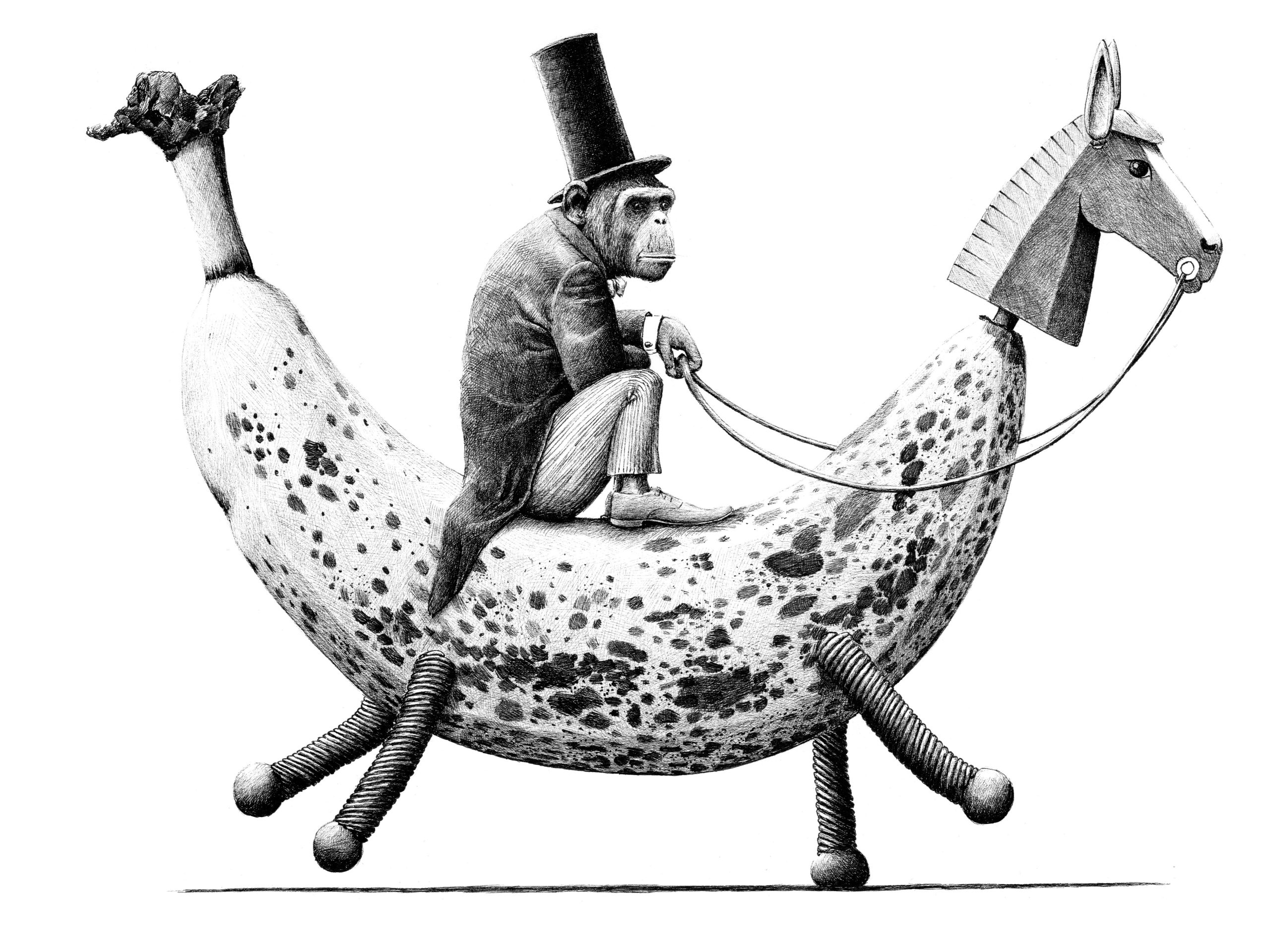 Redmer Hoekstra, aap op banaan